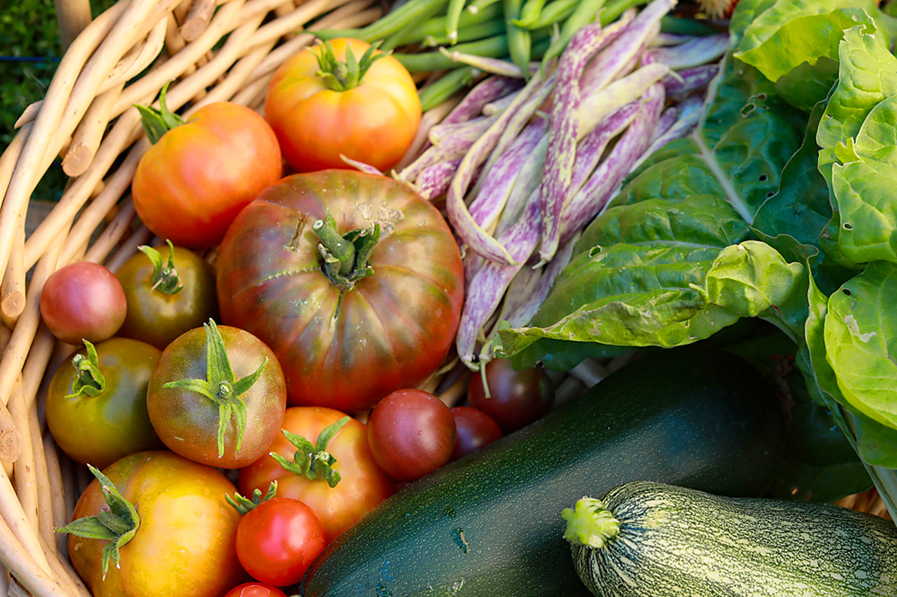Gemüse würde teilweise sogar günstiger – wenn die wahren Kosten dafür verlangt würden. | Foto: Nina Luong/unsplash