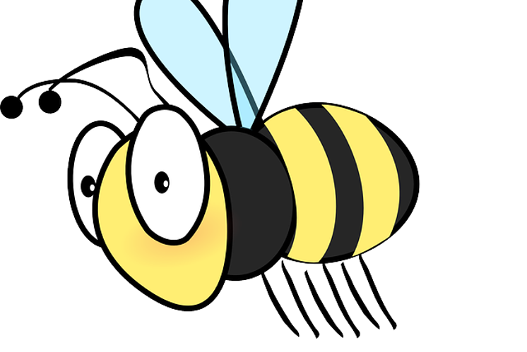 Bienen-Memory