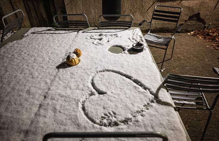 «Mehr als eine Frage des Dachs über dem Kopf»