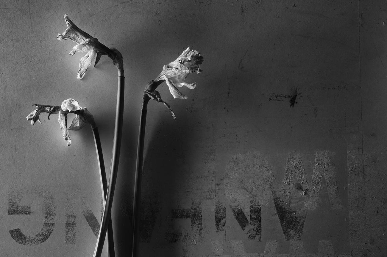 (Bild: Stephan Jungck)