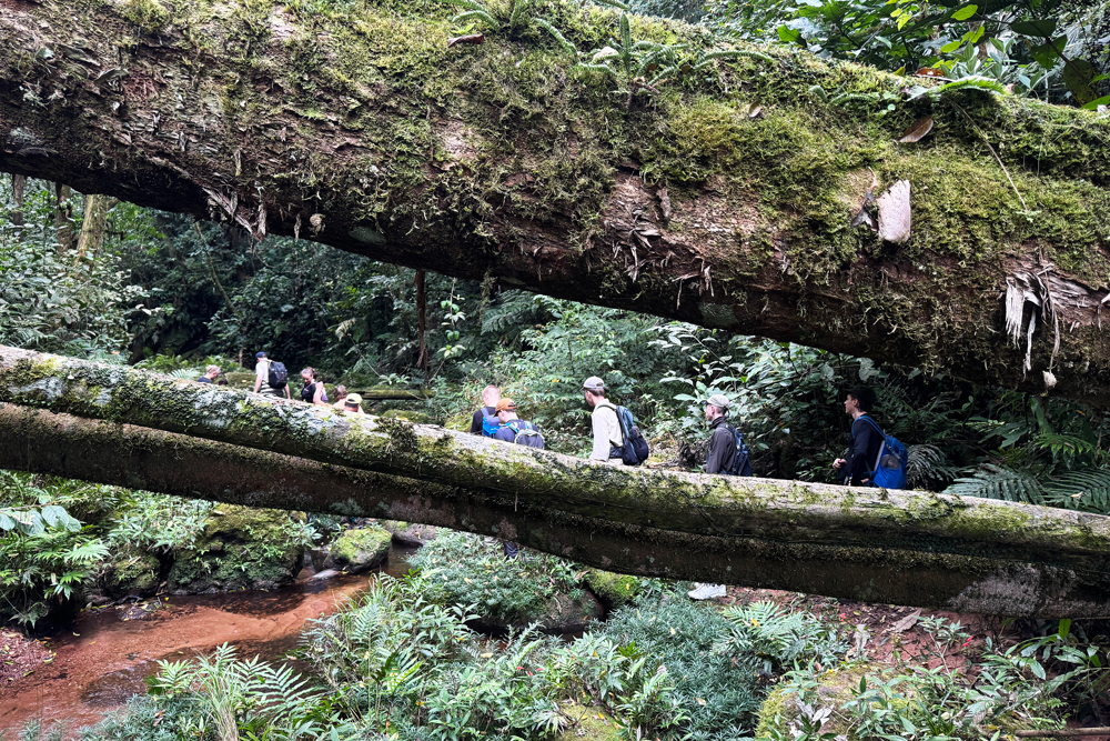 Fotos: Lukas Geer/Samuel Hanauer