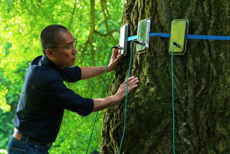 Stiller, starker Freund