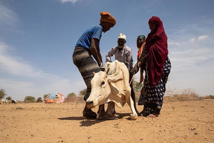 Warum die katastrophale Dürre Äthiopien besonders trifft