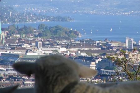 Die Stadt als Diakonin