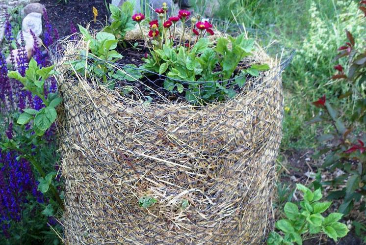 Kartoffeltürme für Luzern