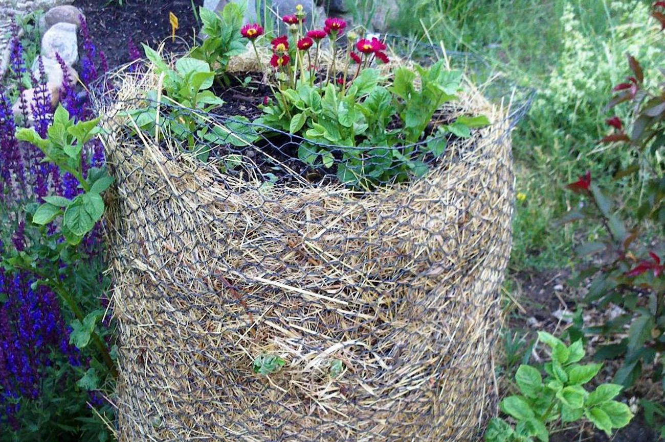 Zehn Kartoffeltürme ab März in Luzern.