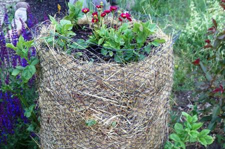 Kartoffeltürme für Luzern