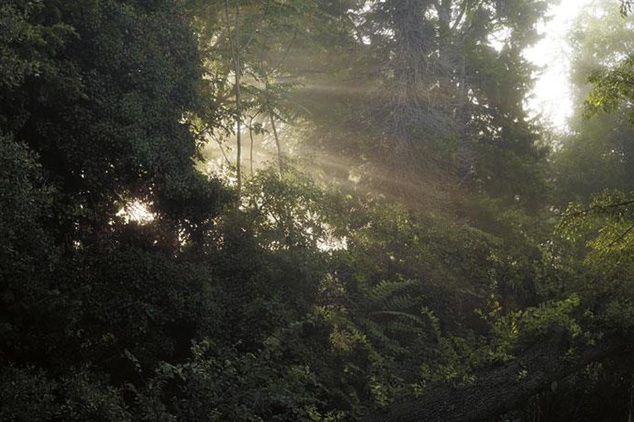 Die drei Landeskirchen engagieren sich gemeinsam: Im Bereich Palliative
Care herrscht Aufbruchstimmung im Kanton Schaffhausen. | LEUTERT