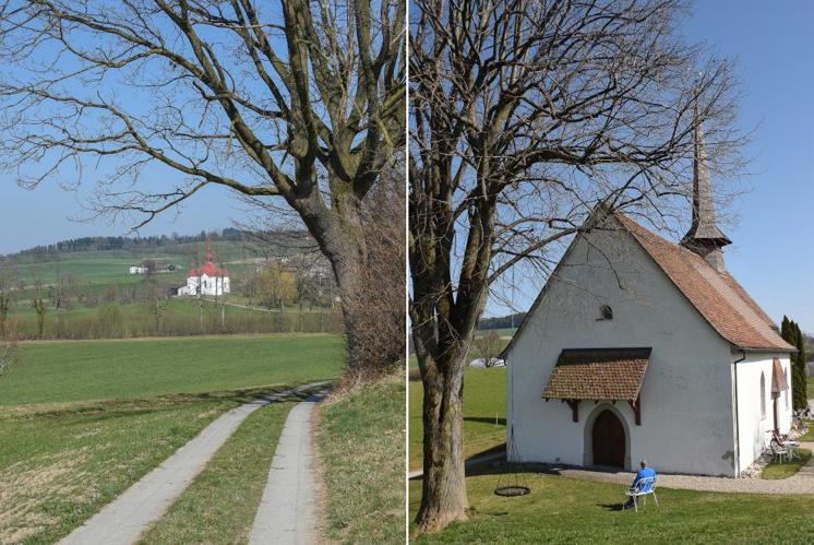 Rettung des Kapellenwegs
