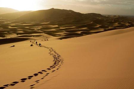 Fremde und Gäste auf der Erde
