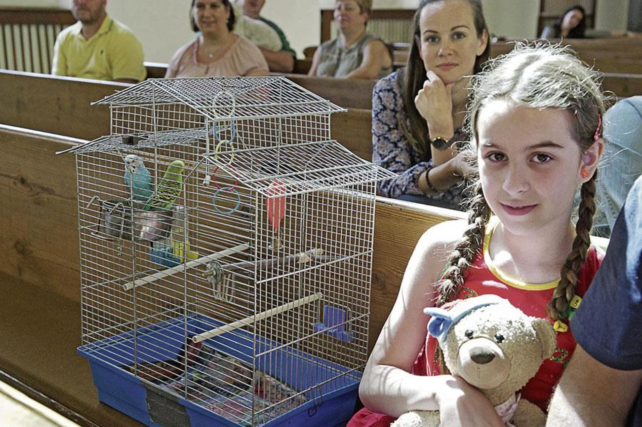 Feiern mit den pelzigen und gefiederten Freunden.|Bild: epd-Bild