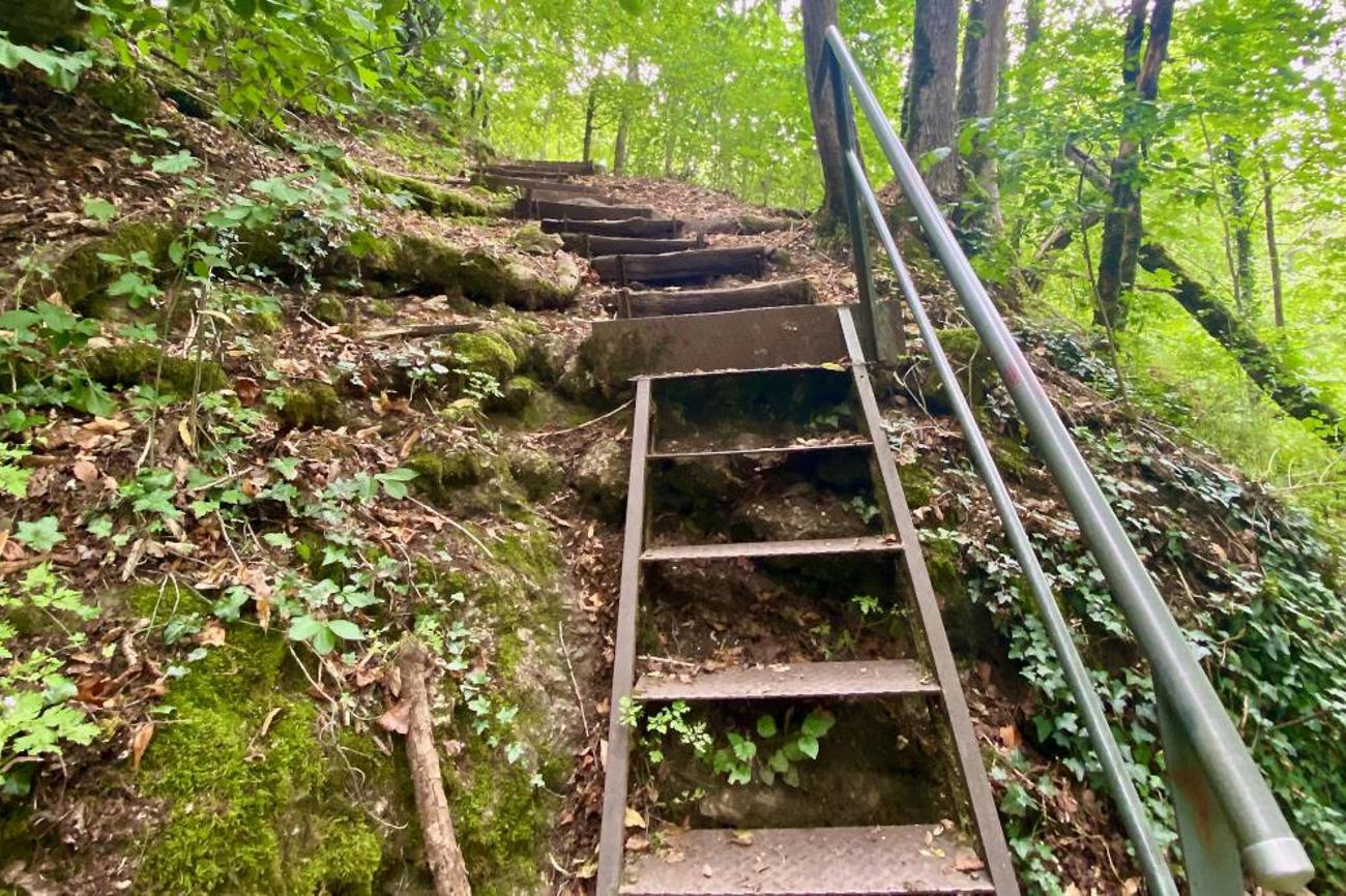 Auf dem Steinzeitpfad, der den Hugenottenweg kreuzt, führt eine steile Treppe hinunter zur Thaynger Ebene.