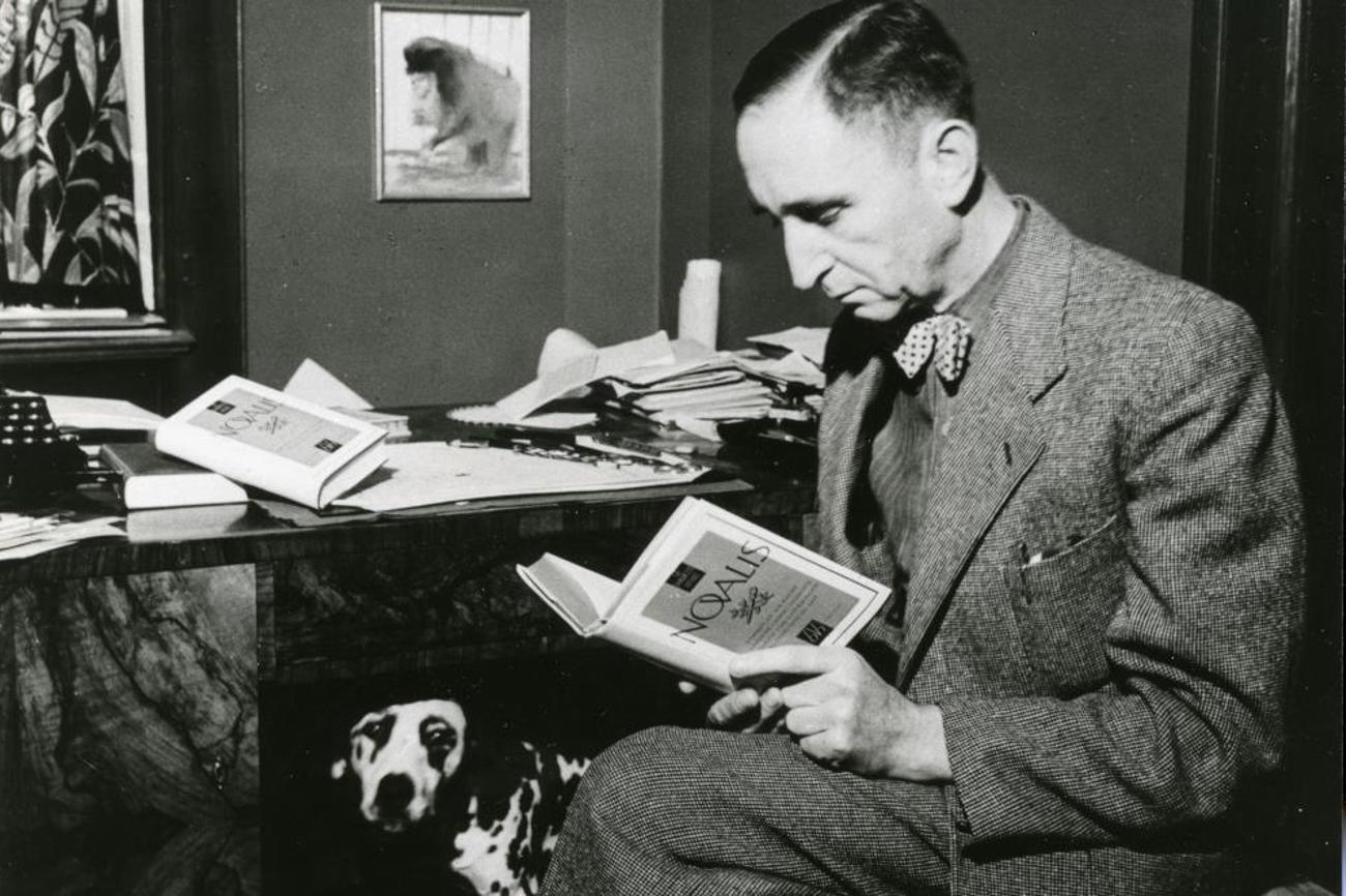 Carl Seelig in seiner Zürcher Wohnung an der Mühlebachstrasse 17 in Zürich, um 1945. Der Journalist und Schriftsteller Carl Seelig war auch ein grosser Hundefreund. Hier lässt er sich mit einer Gesamtausgabe des romantischen Dichters Novalis, die er herausgegeben hat, ablichten; unter dem Tisch liegt der geliebte Dalmatiner Ajax. |© Keystone SDA/Robert Walser-Stiftung Bern