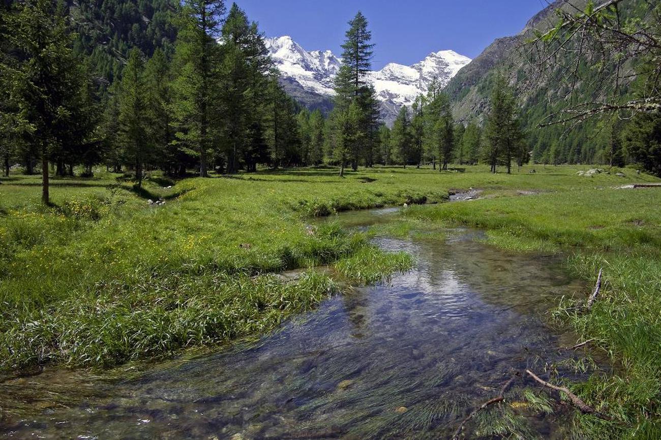 Ob Bergbach, Blumenwiese oder Insel: Wo ist Ihre Oase?