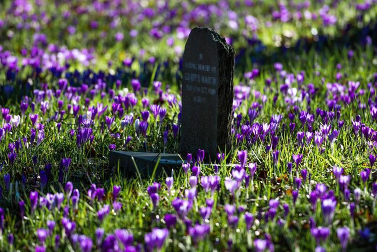 «Christentum ist ohne kulturelle Aneignung nicht vorstellbar»