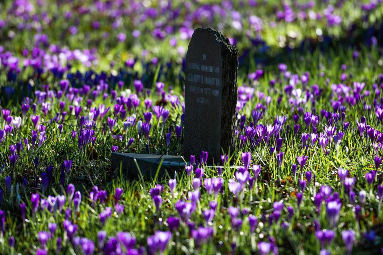 Die Inkarnation als Grundpfeiler des christlichen Glaubens sei im Grunde eine «Aneignungsidee», sagt die Theologin Katharina Heyden: «Gott eignet sich in Jesus die Menschlichkeit an, die ihm eigentlich per Definition wesensfremd ist, um mit den Menschen in Beziehung treten zu können.» |Richard Bell/unsplash.com