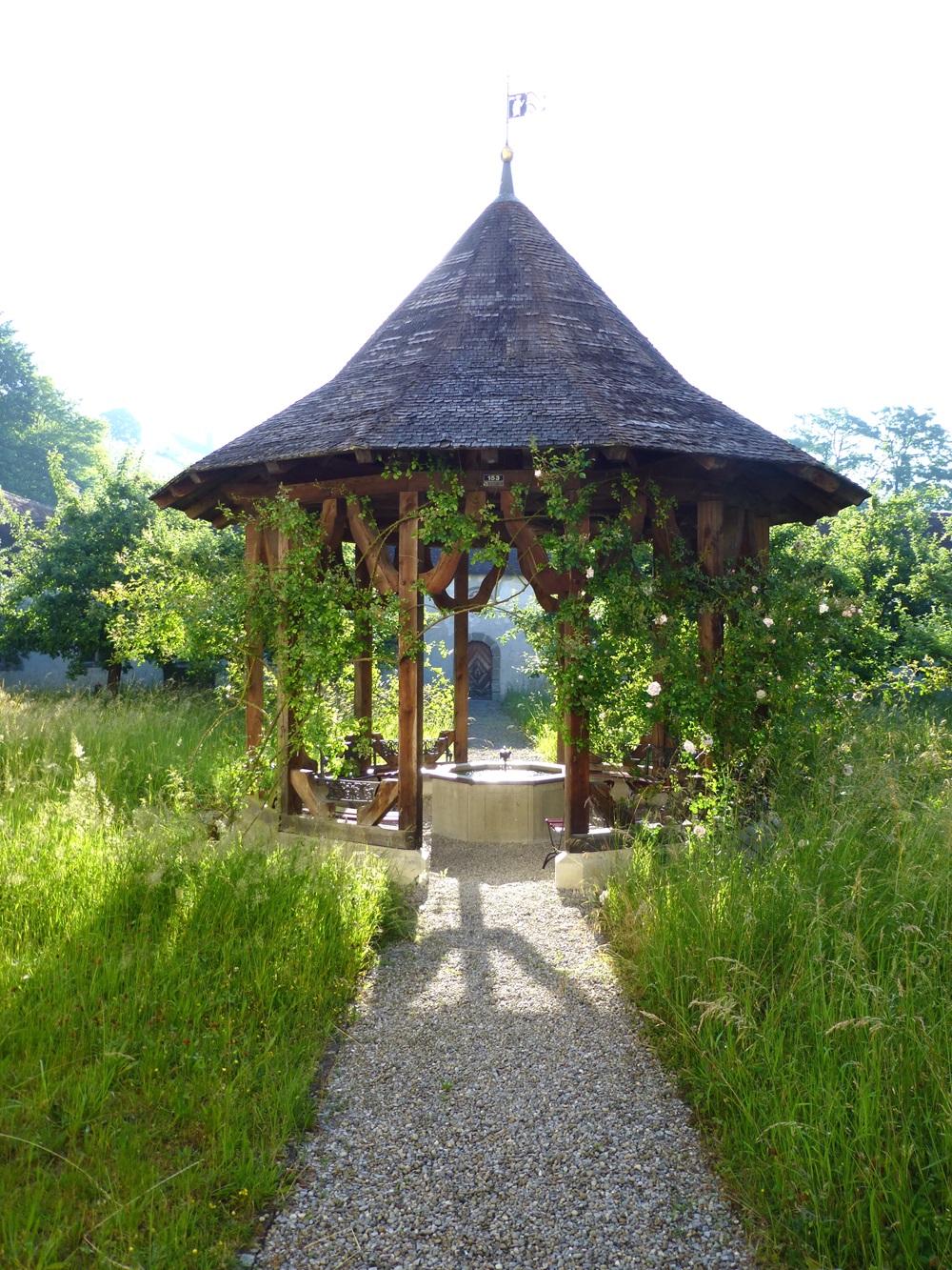 P1040369_bearbeitet.jpg (4)