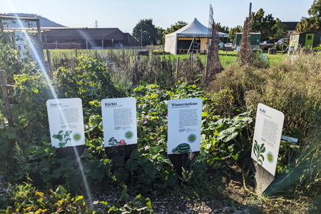 Ackerpflanzen der Welt auf einem Drittel-Fussballfeld