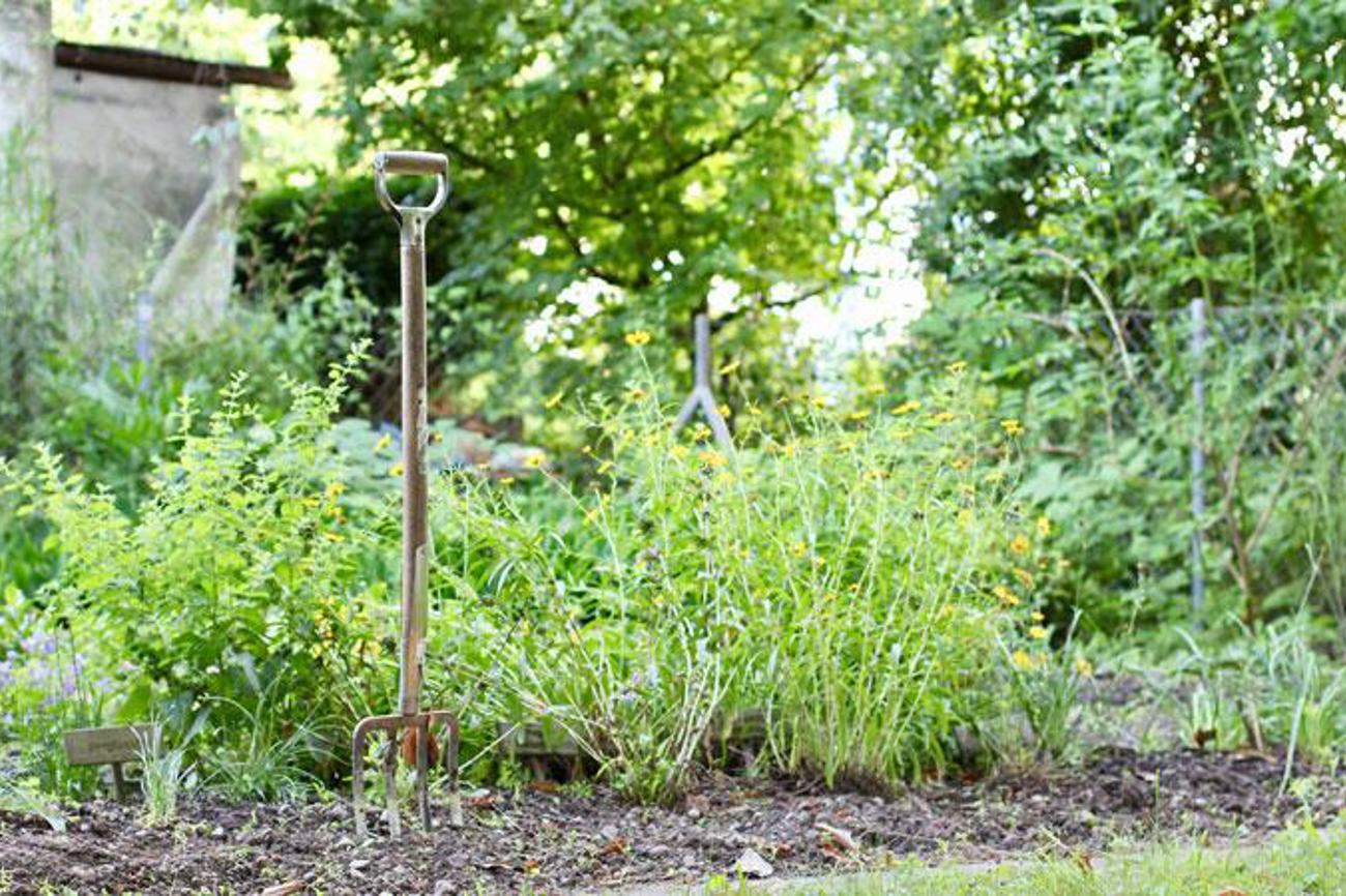 Auch ein wilder Garten braucht Pflege.