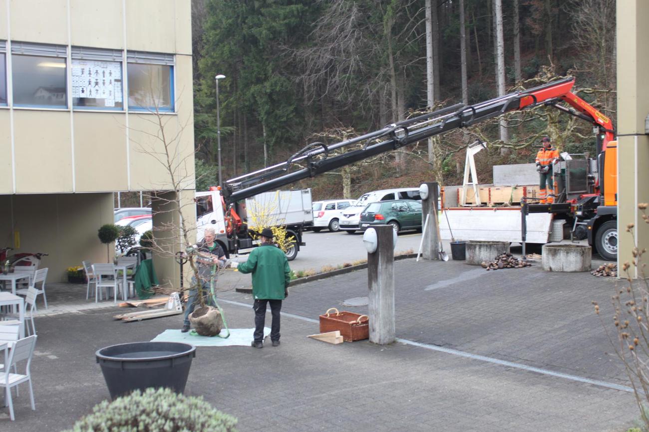 Der Kran hievt die Hochbeete und Bäume auf den Platz.