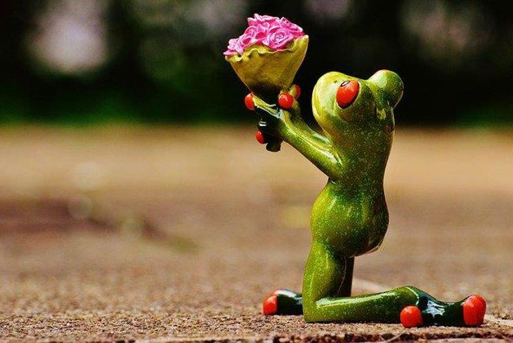 Irrgarten «Entschuldigung»