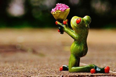 Irrgarten «Entschuldigung»