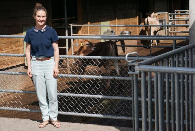 Hotline für verzweifelte Bauern