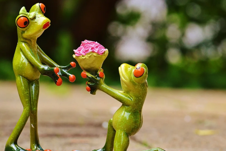 Finde den Weg zur Froschkönigin