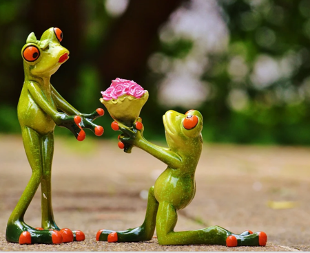 Finde den Weg zur Froschkönigin