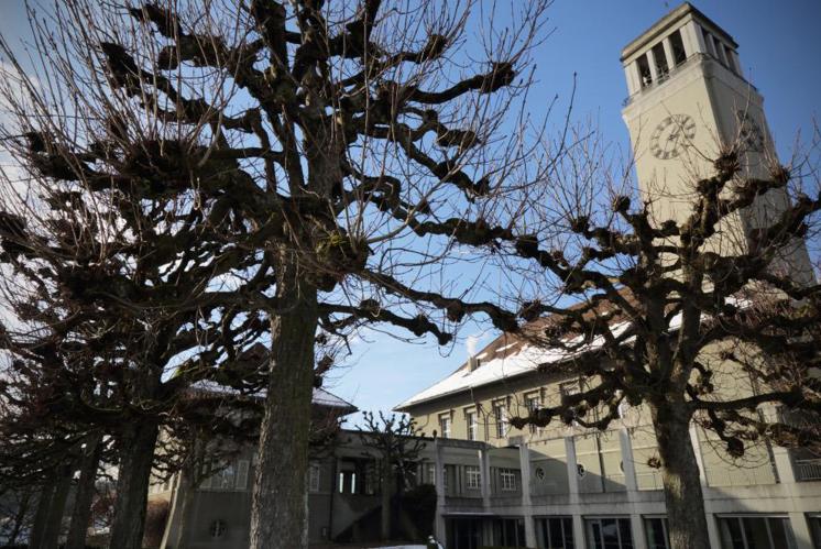 Auf dem Veielihubel entsteht das Berner Stadtkloster Frieden