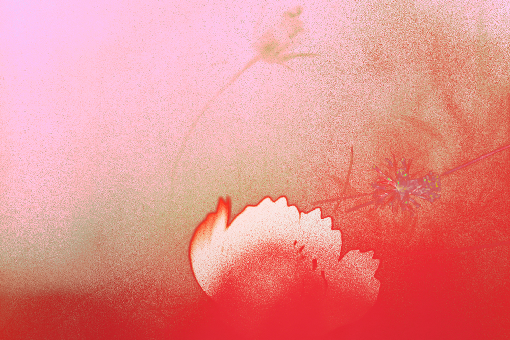 © Gen Atem / Miriam Bossard, courtesy of the artists