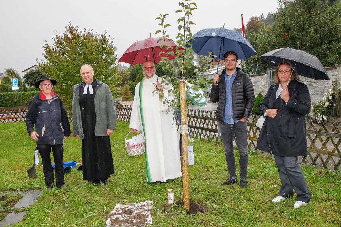 Ein Apfelbaum für Willisau. | Arnold