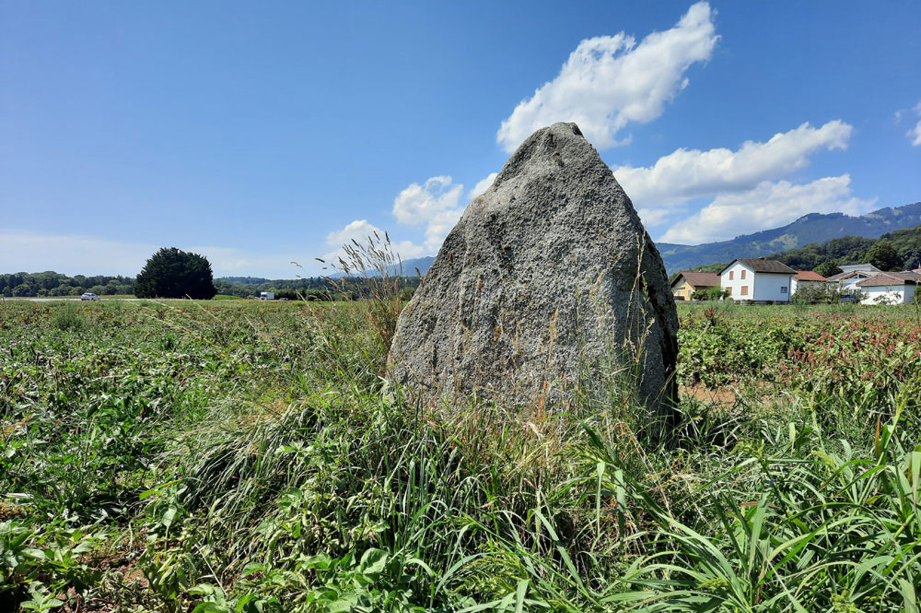 Der Freistein von Attiswil ist ein Findling aus Mont-Blanc-Granit. | Foto: Hans Herrmann