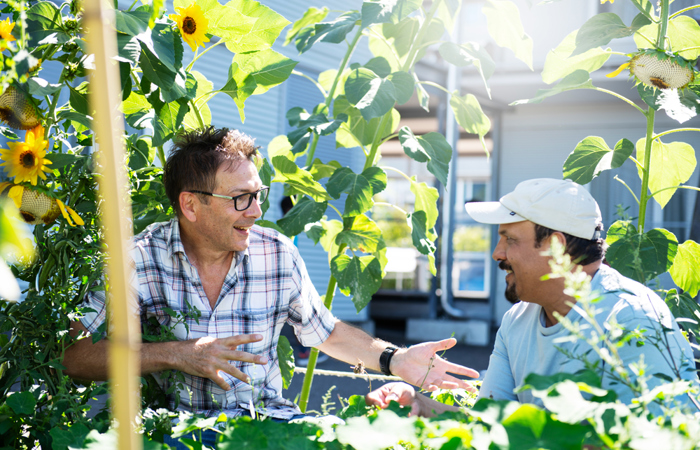 Wo Männer Wurzeln schlagen