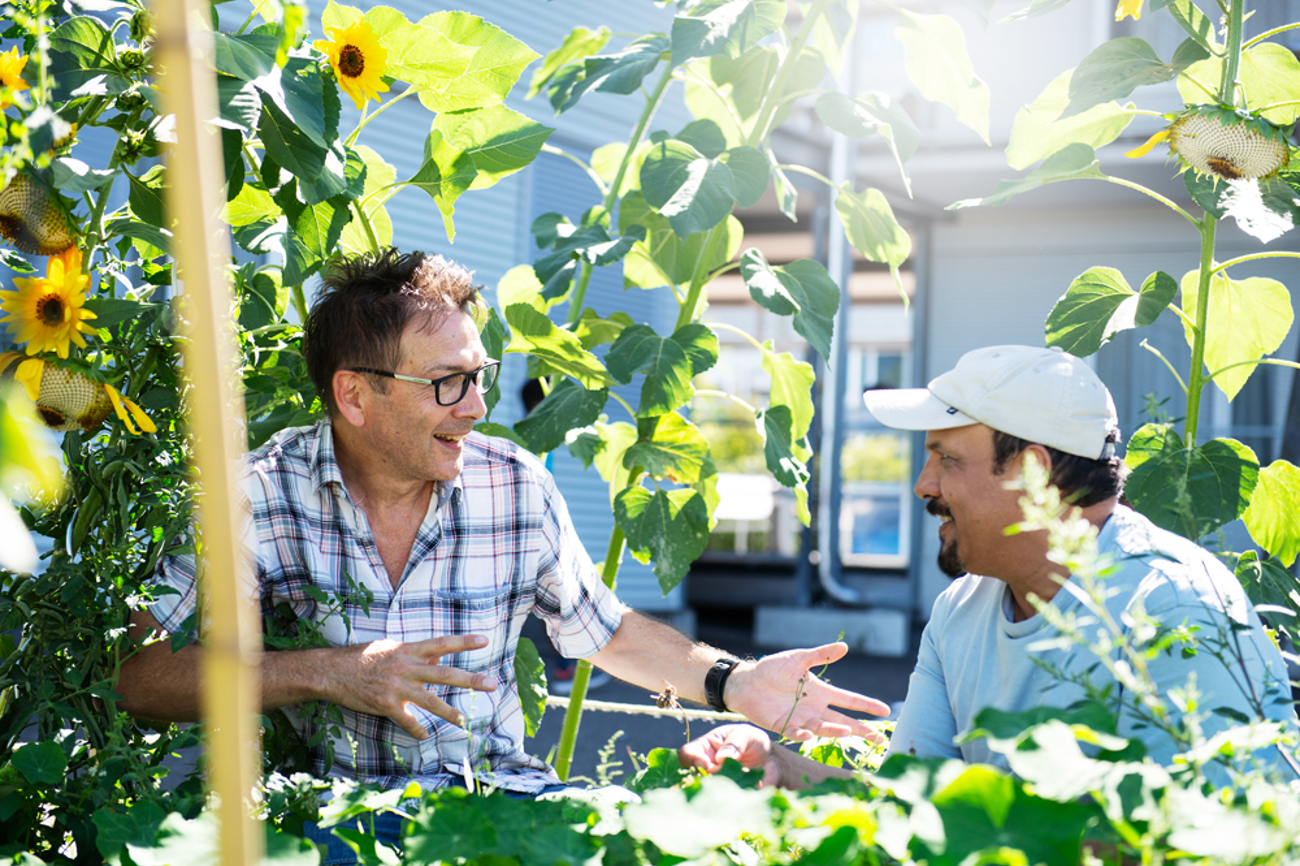 Der Garten als sozialer Treffpunkt für Austausch und Integration: Heks-Programmmitarbeiter Roberto Rivetti (links) bespricht sich mit einem Teilnehmer im «Männergarten». | Foto: Heks/Muharrem Öner
