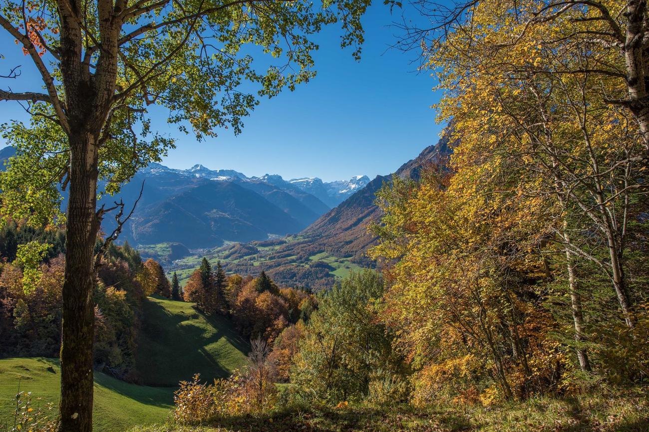 Ankommen in einer neuen Heimat ist ein Prozess. Die schönen Herbsttage im Glarnerland können dabei helfen. 
Foto: pixabay.
