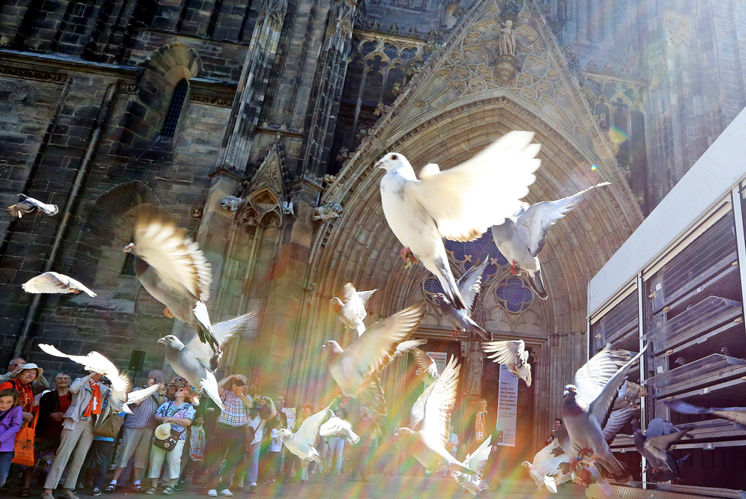 Fernando Enns: «Die Friedensdenkschrift ist eindeutig ein Rückschritt»