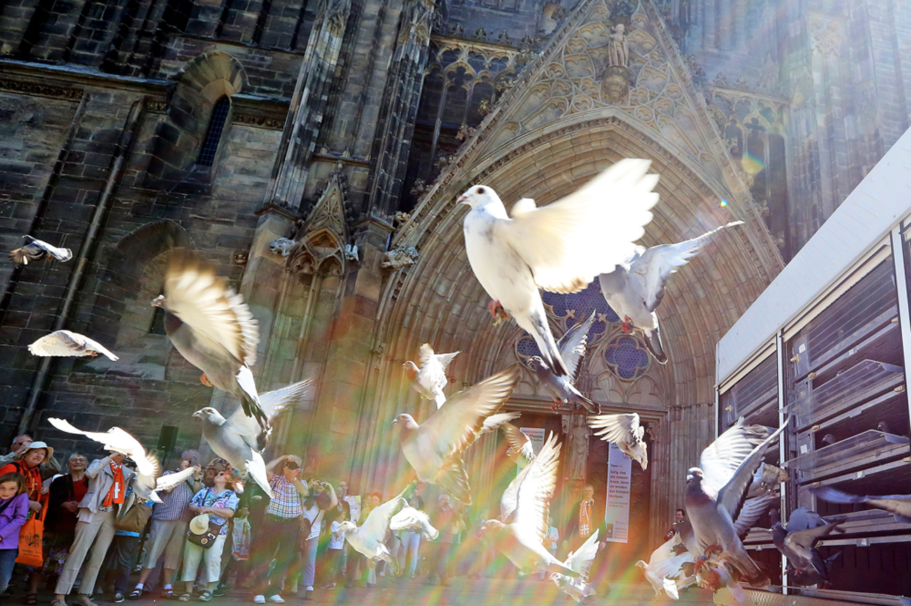 Ein Symbol der christlichen Friedensbewegung: Die Taube. Archivaufnahme vor dem Magdeburger Dom. | Foto: epd/Viktoria Kühne