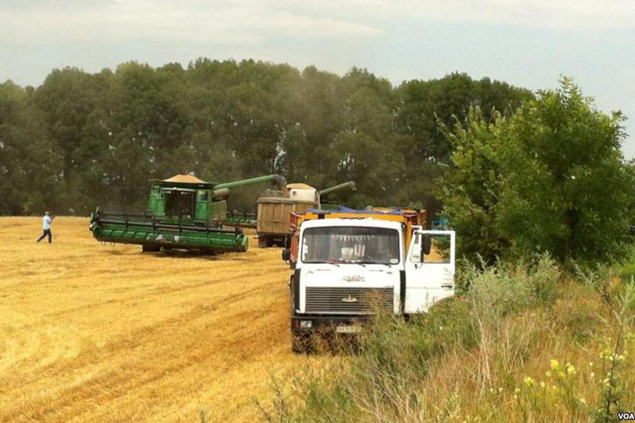 Weizenernte in der Ukraine. |Voice of America/J. Brooke