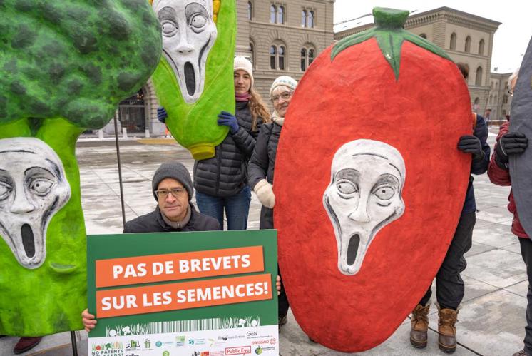 240’000 Unterschriften gegen Patente auf Saatgut