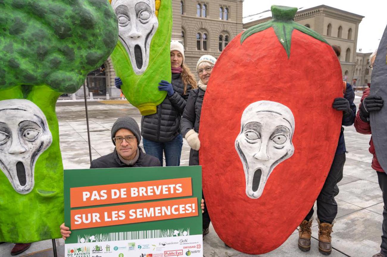 Schreiendes Gemüse auf dem Bundesplatz: Mit der Petition wehren sich vier Schweizer Organisationen gegen Verstösse gegen das Europäische Patentübereinkommen. | Martin Bichsel