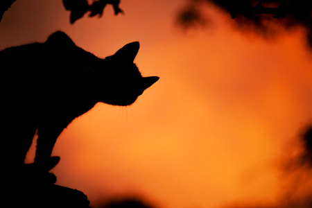 Auch Gespräche über zentrale Lebensthemen passen zu Halloween