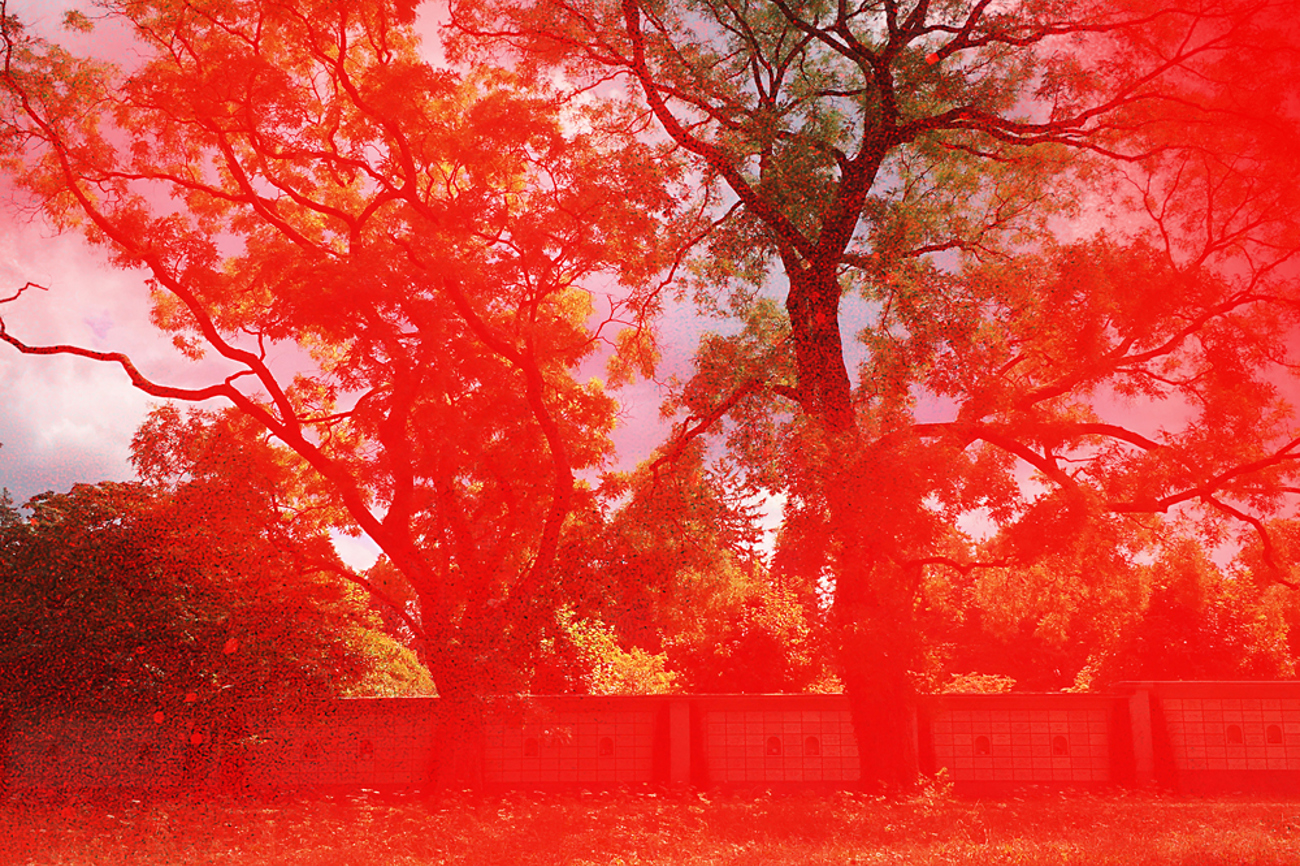 © Gen Atem / Miriam Bossard, courtesy of the artists