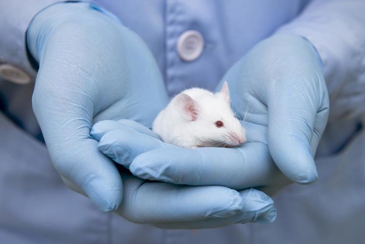 Moralisch legitim, aber immer hochproblematisch