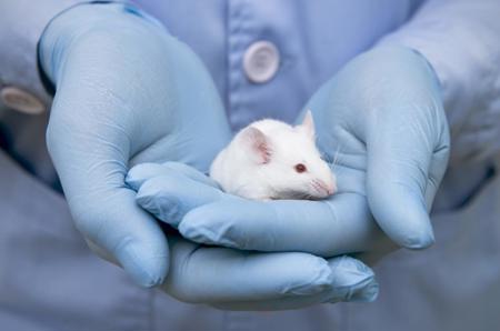 Moralisch legitim, aber immer hochproblematisch