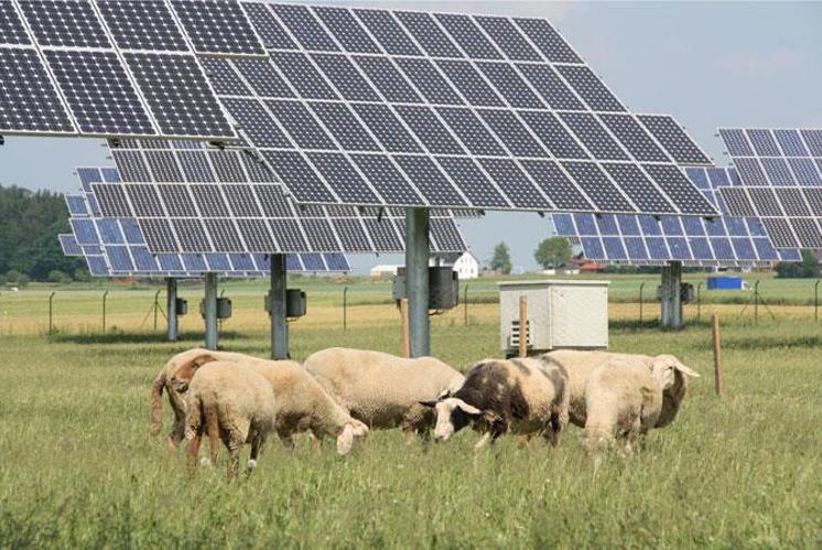 «Energiepolitik ist für christliche Ethik zentral»