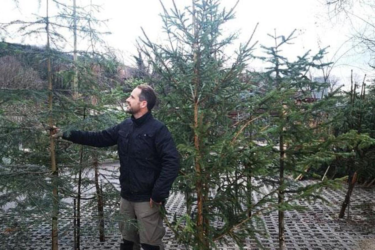 Jan Pistorius, Leiter Gartenunterhalt des Vereins für Sozialpsychiatrie Baselland, mag schräge Weihnachtsbäume.