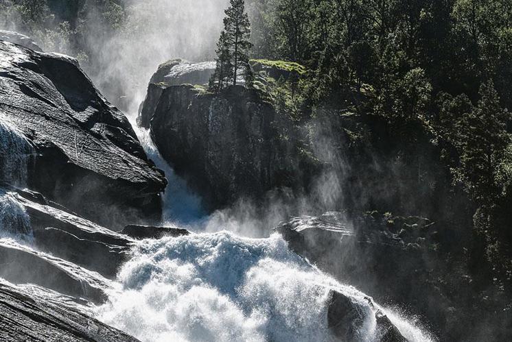 Das Wasser des Lebens