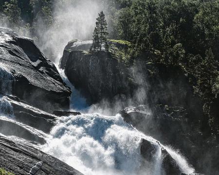 Das Wasser des Lebens