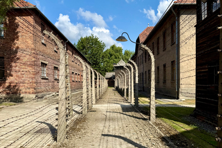 Holocaust-Gedenktag: Woher kommt der Begriff «Antisemitismus»?